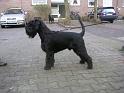 Bild 361